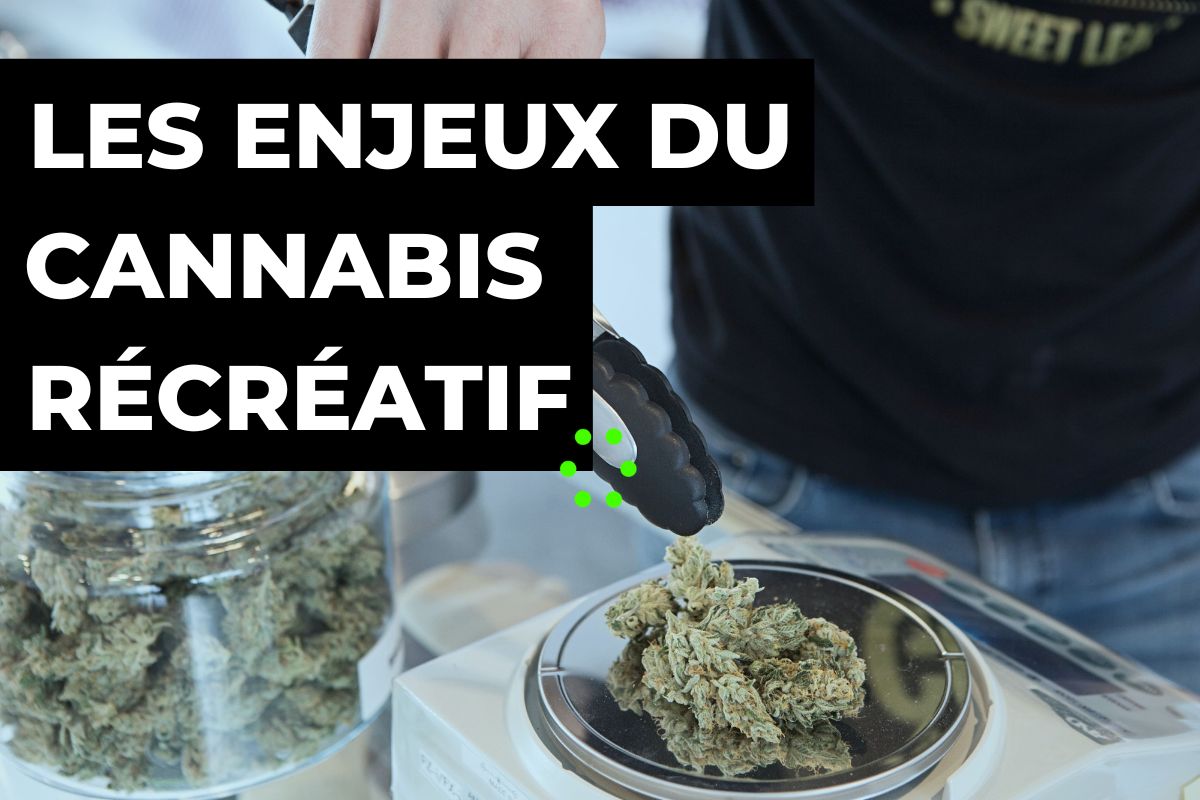 Lire la suite à propos de l’article Les enjeux de la consommation du cannabis « récréatif » auprès du grand public