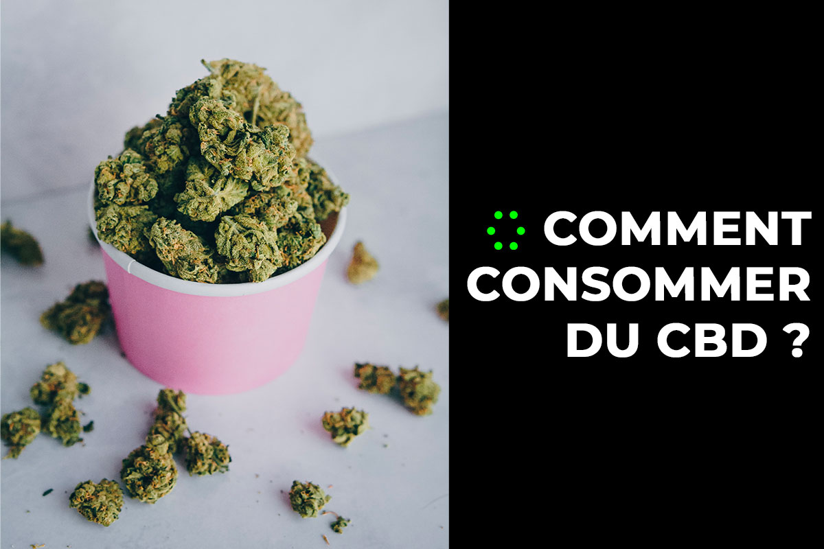 You are currently viewing Comment consommer du CBD ?